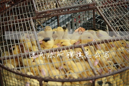 送司法所锦旗怎么写 送司法所锦旗怎么写
