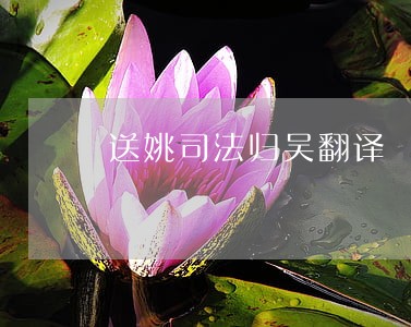 送姚司法归吴翻译 送姚司法归吴翻译