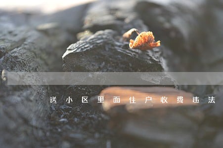 送小区里面住户收费违法吗 送小区里面住户收费违法吗