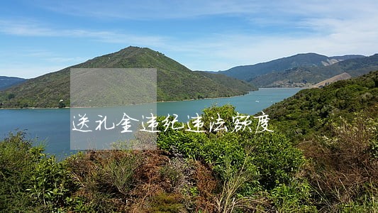送礼金违纪违法额度 送礼金违纪违法额度