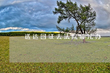 送达回证去法院哪儿办 送达回证去法院哪儿办