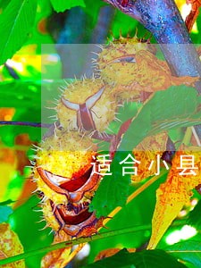 适合小县城的41个投资 适合小县城的41个投资