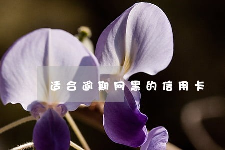 适合逾期网黑的信用卡 适合逾期网黑的信用卡
