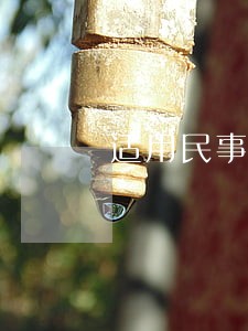 适用民事诉讼特别程序的是