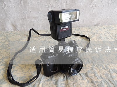 适用简易程序民诉法司法解释 适用简易程序民诉法司法解释