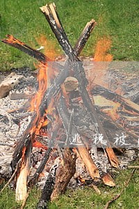 逃税被法院冻结银行卡 逃税被法院冻结银行卡
