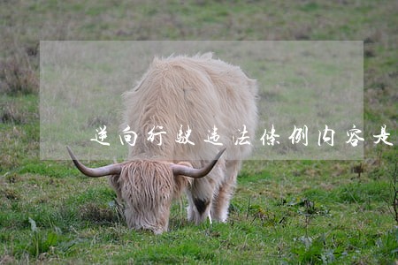 逆向行驶违法条例内容是什么 逆向行驶违法条例内容是什么