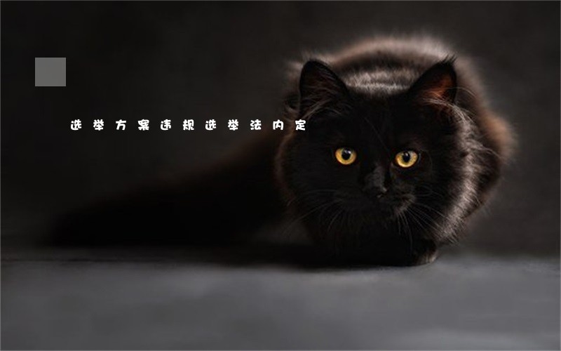 选举方案违规选举法内定