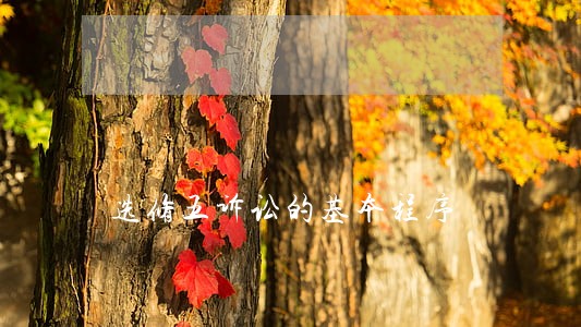 选修五诉讼的基本程序 选修五诉讼的基本程序
