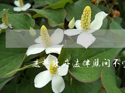 选择政府法律顾问不宜盲目 选择政府法律顾问不宜盲目