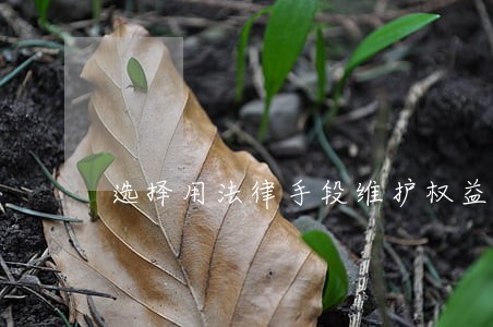 选择用法律手段维护权益 选择用法律手段维护权益