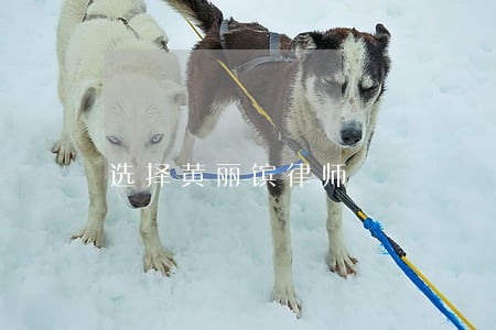 选择黄丽镔律师 选择黄丽镔律师