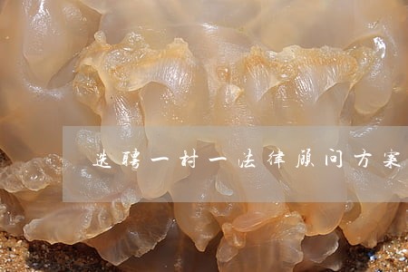 选聘一村一法律顾问方案 选聘一村一法律顾问方案
