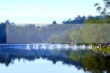 选聘两家常年法律顾问