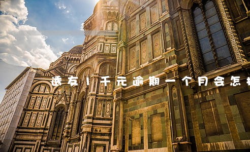 透友1千元逾期一个月会怎样 透友1千元逾期一个月会怎样