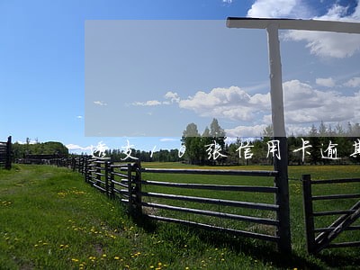 透支10张信用卡逾期了怎么办 透支10张信用卡逾期了怎么办