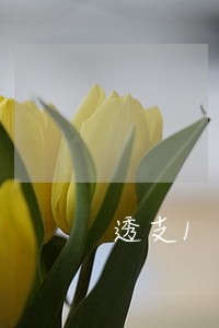 透支1分钱的信用卡逾期了 透支1分钱的信用卡逾期了