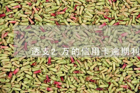 透支2万的信用卡逾期利息是多少 透支2万的信用卡逾期利息是多少