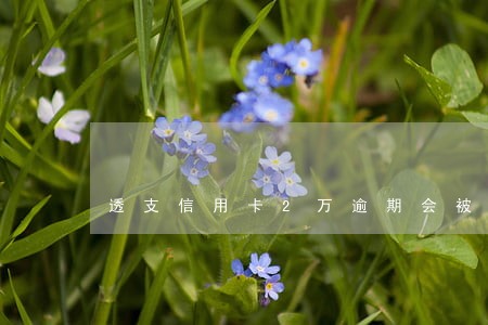 透支信用卡2万逾期会被判刑吗 透支信用卡2万逾期会被判刑吗