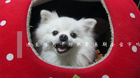 透支信用卡炒股票逾期会坐牢吗