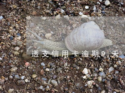 透支信用卡逾期9天