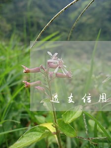 透支信用卡逾期未还 透支信用卡逾期未还
