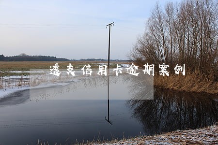 透支信用卡逾期案例 透支信用卡逾期案例