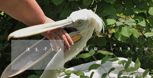 透支卡3500逾期一个月多少钱 透支卡3500逾期一个月多少钱