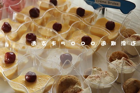 透支卡5000逾期没还 透支卡5000逾期没还