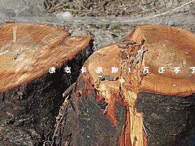 透支卡逾期1万还不了算罚息多少 透支卡逾期1万还不了算罚息多少