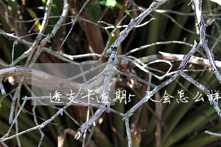 透支卡逾期5天会怎么样 透支卡逾期5天会怎么样