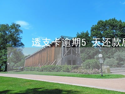 透支卡逾期5天还款后果 透支卡逾期5天还款后果