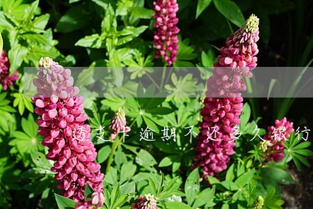 透支卡逾期不还多久银行就会
