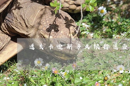 透支卡逾期多久银行追查 透支卡逾期多久银行追查
