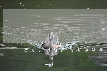 透支工行融e借逾期涉刑吗 透支工行融e借逾期涉刑吗
