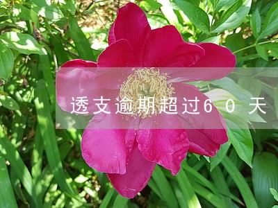 透支逾期超过60天