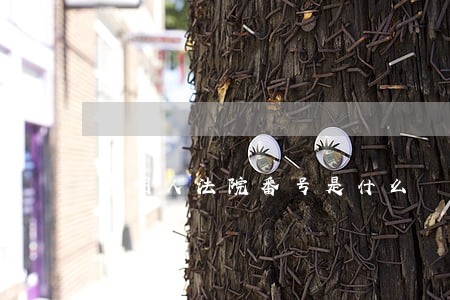 透明人法院番号是什么 透明人法院番号是什么