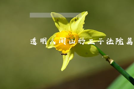 透明人间山形正子法院篇 透明人间山形正子法院篇