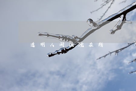 透明人间法院在线 透明人间法院在线