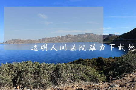 透明人间法院磁力下载地址