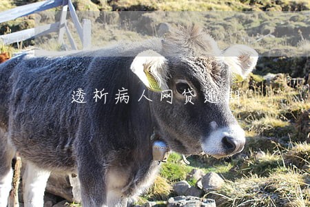 透析病人网贷逾期 透析病人网贷逾期
