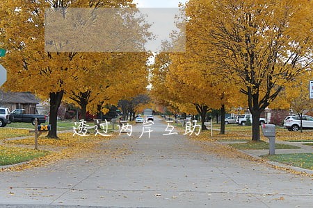 透过两岸互助 透过两岸互助