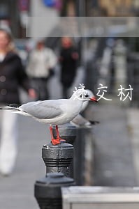 递交材料时没交诉讼费会通知吗 递交材料时没交诉讼费会通知吗