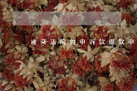 递交法院的申诉款退款申请书 递交法院的申诉款退款申请书