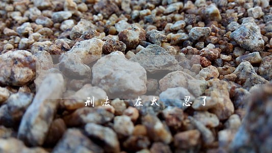 這個刑法實在太殘忍了