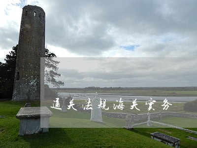 通关法规海关实务 通关法规海关实务