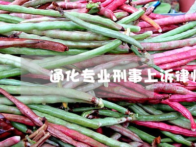 通化专业刑事上诉律师 通化专业刑事上诉律师