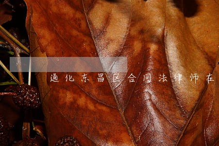 通化东昌区合同法律师在线咨询 通化东昌区合同法律师在线咨询