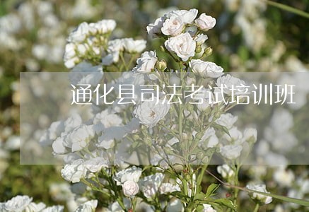 通化县司法考试培训班 通化县司法考试培训班