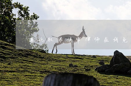 通化取保候审律师在线免费咨询